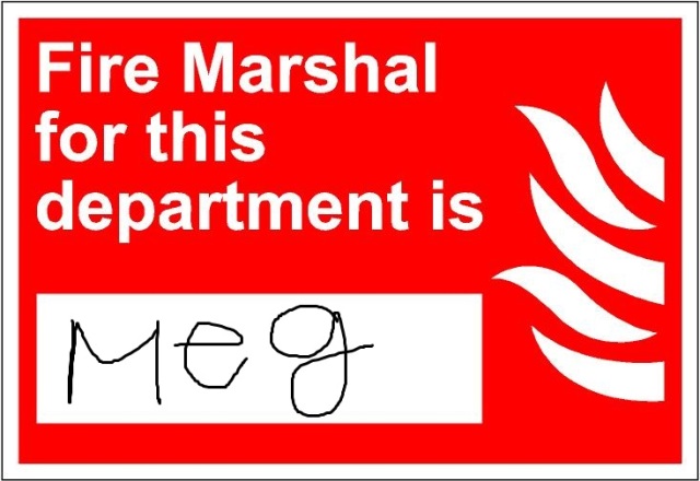 fire033 - fire marshal for this department is